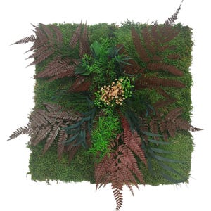 Può includere: Arte murale quadrato in muschio con piante conservate. Presenta felci rosso scuro, fogliame verde e piccoli fiori beige, il tutto su un letto di muschio verde. Un pezzo decorativo naturale.