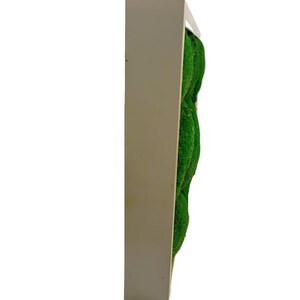 Puede incluir: Una pieza de arte de pared enmarcada en blanco con un dise&ntilde;o de musgo verde. El musgo est&aacute; dispuesto en un patr&oacute;n geom&eacute;trico.