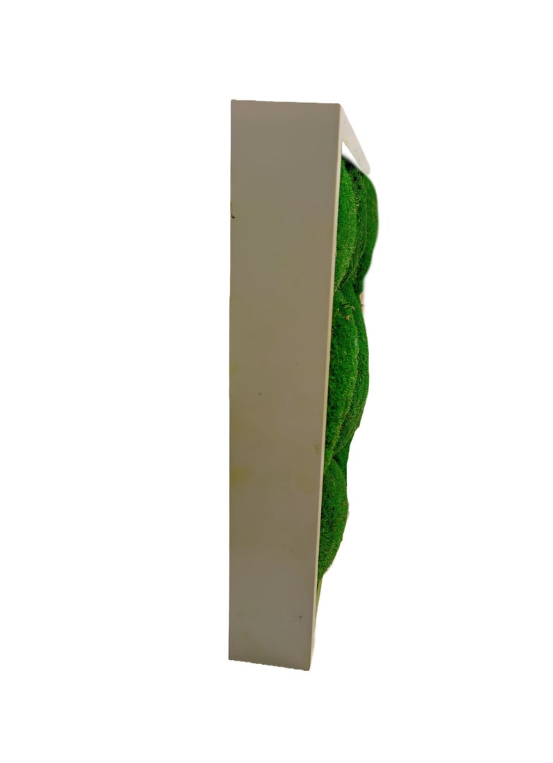 Puede incluir: Una pieza de arte de pared enmarcada en blanco con un dise&ntilde;o de musgo verde. El musgo est&aacute; dispuesto en un patr&oacute;n geom&eacute;trico.