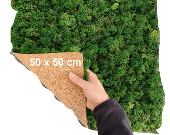 Peut inclure: Un panneau mural en mousse verte préservée avec un dos en liège. Le panneau mesure 50 x 50 cm.