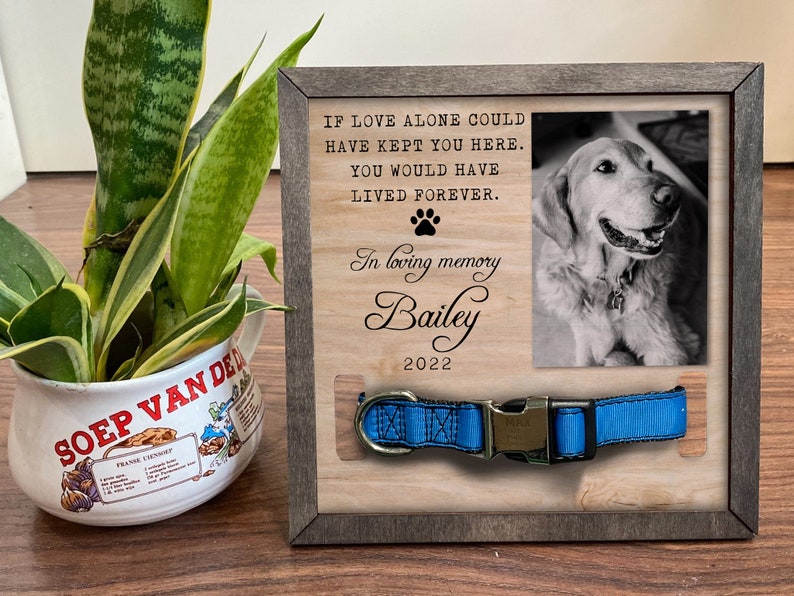 Memorial Pet Collar Frame Black & White Photo Loss of Dog Etsy