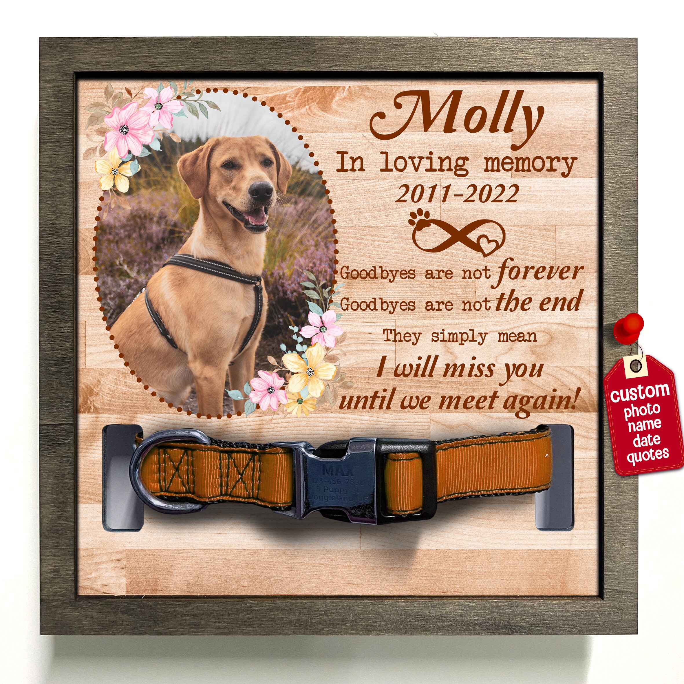 Memorial Dog Collar Frame Dog Memorial Gift Loss of Dog Cat Etsy