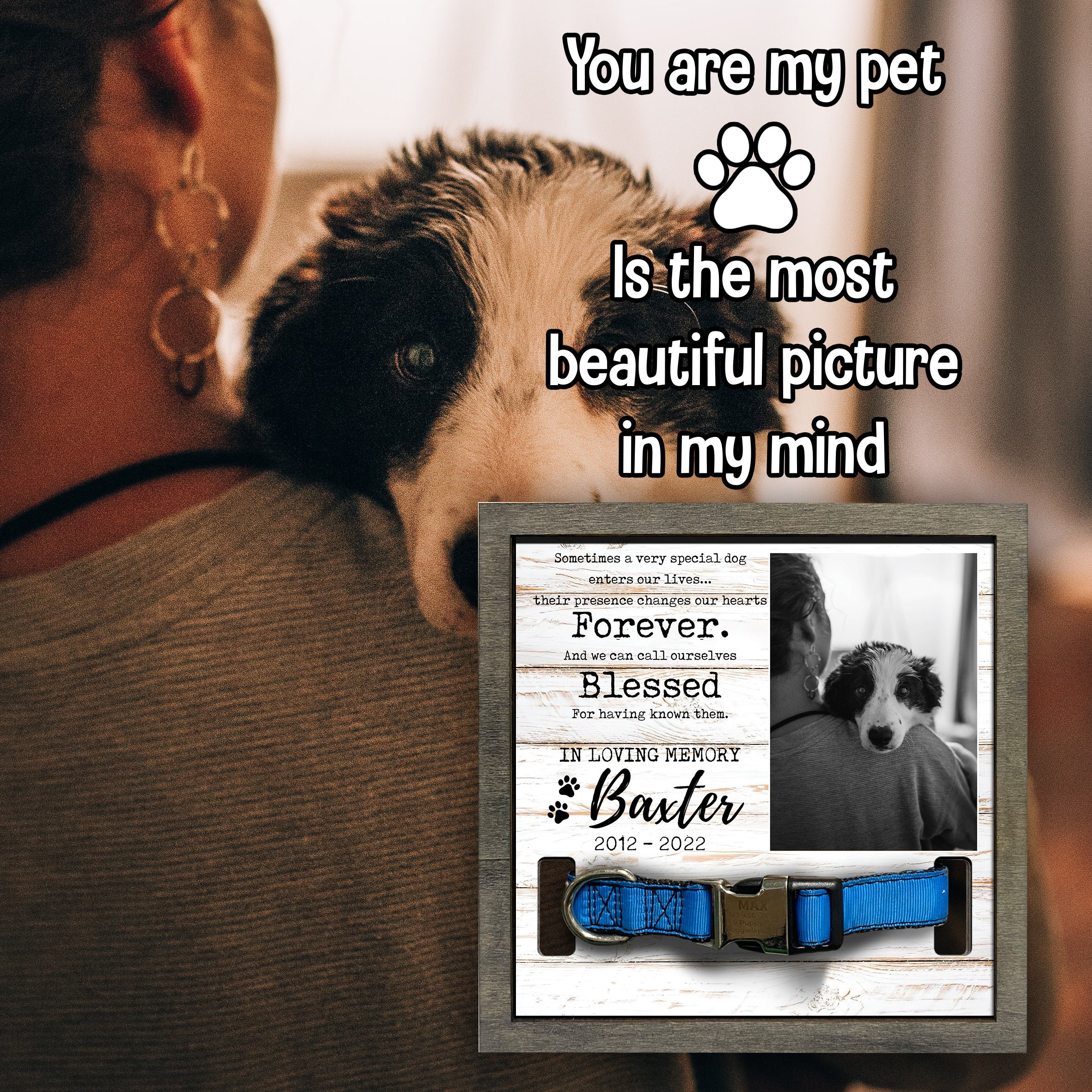 Memorial Pet Collar Frame Black & White Photo Dog Collar Etsy
