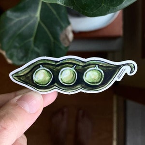 Snap Peapod - Vinyl Sticker (Waterproof) - Laptop, Phone, Waterbottle, Bullet Journal, Scrapbook, Window Decal - 3 Peas in a Pod, Vegetable