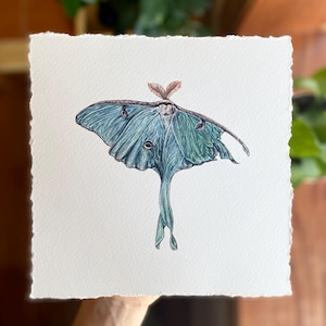 Luna Motte - Kunstdruck - Aquarell Malerei auf Baumwollpapier mit Büttenrand - 8x8 ungerahmt Schmetterling - Forestcore Cottagecore Whimsigoth