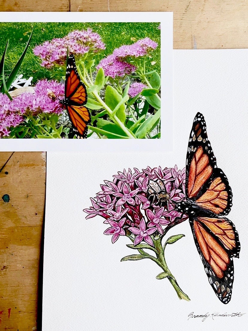 Monarch Butterfly Art Print Watercolor Painting - Etsy