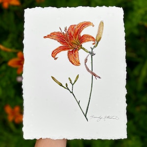 Orange Daylily - Stampa artistica - Dipinto ad acquerello su carta di cotone con bordi frastagliati - 8x10 senza cornice - Idea regalo botanica per la festa della mamma