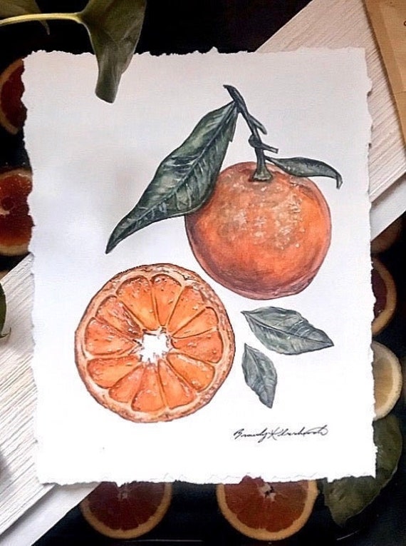 Orange Botanical Art Print Watercolor Painting Etsy
