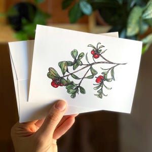 Bearberry - Cartão de saudação com envelope (em branco por dentro) - Ilustração botânica - Arte do Alasca - Planta nativa da floresta - Frutas vermelhas selvagens