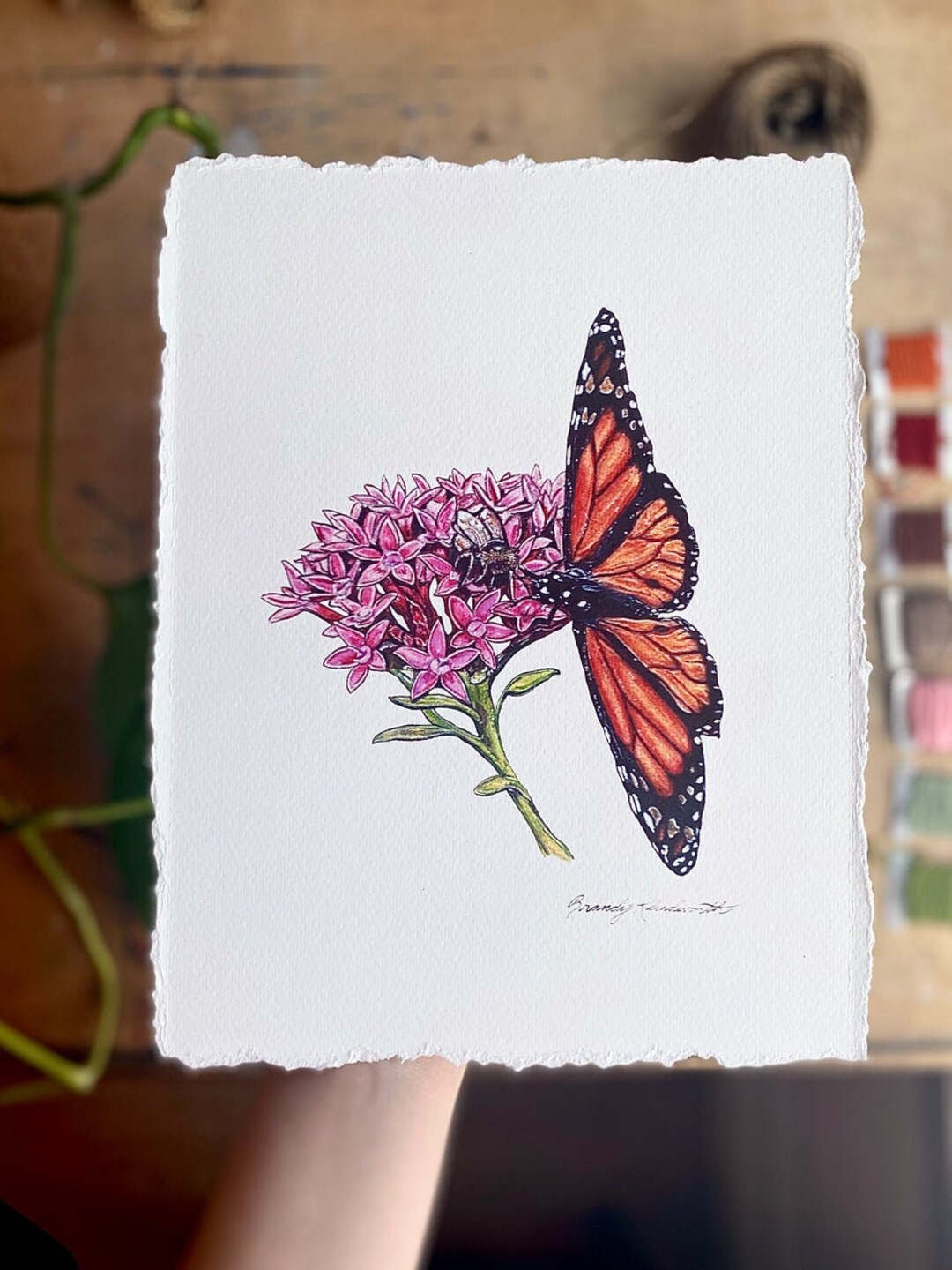 Monarch Butterfly Art Print Watercolor Painting - Etsy