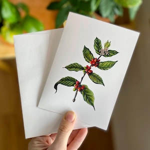 Caffè - Biglietto di auguri con busta (vuoto all'interno) - Piccola stampa artistica in miniatura - Dipinto ad acquerello di una pianta di fagioli botanica - Regalo da barista