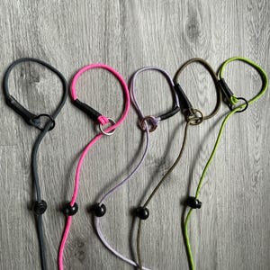 small dog slip lead