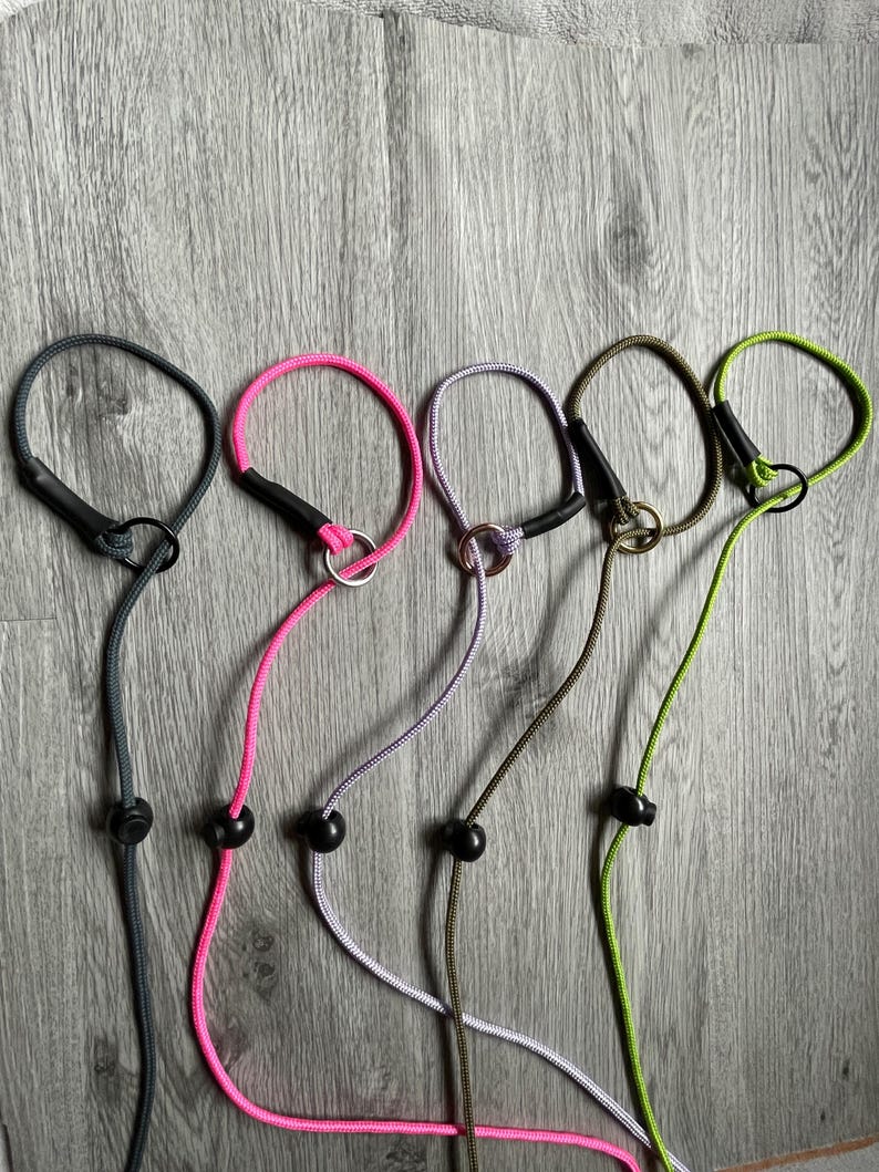 small dog slip lead