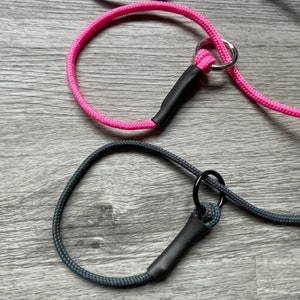 puppy slip lead