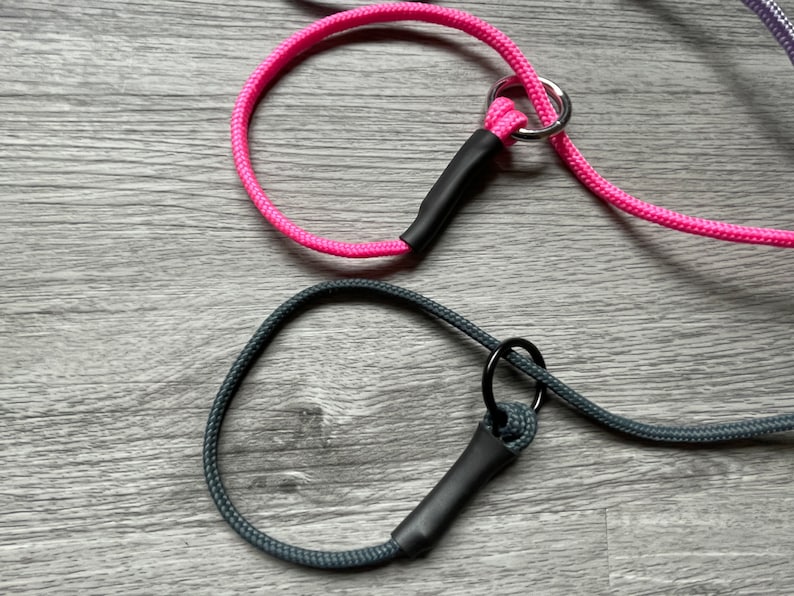 puppy slip lead