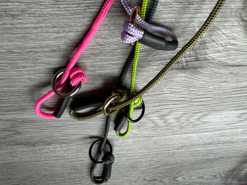 slip lead for puppy