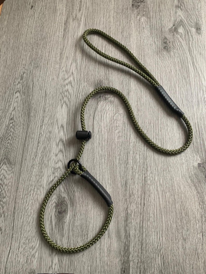 May include: Olive green dog leash with a loop handle and a sliding adjustment. The leash is made of a braided rope material and features black accents at the handle and the loop. The leash is designed for pet owners.