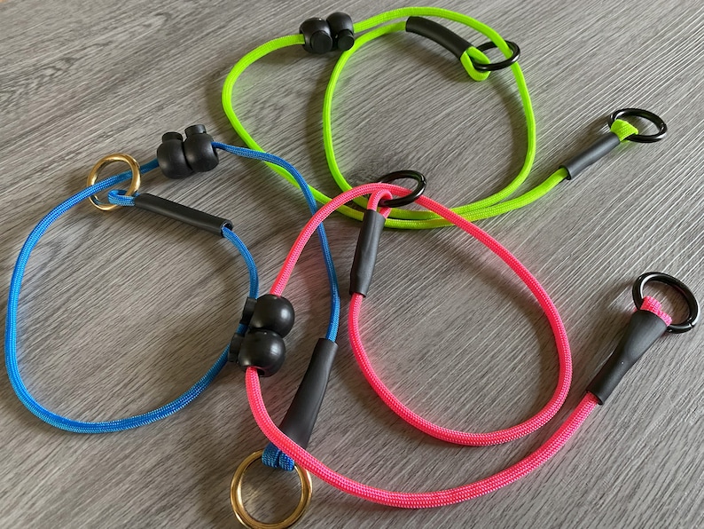 obedience training slip collar