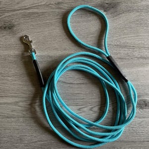 Puppy Small dog long line ultra lightweight long dog lead for dog and puppy training recall  tracking drag line reflective Lengths | colours