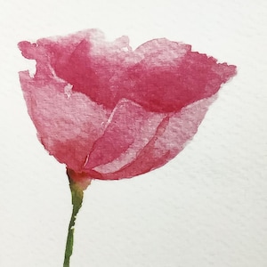 Greetings card watercolor rose blank inside with white envelope, birthday card