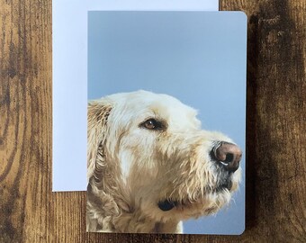 Carte de souhaits chien sans texte avec enveloppe, fête, voeux, anniversaire, vierge