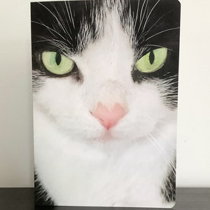 Tarjeta de felicitación de gato sin texto con sobre, fiesta, deseos, cumpleaños
