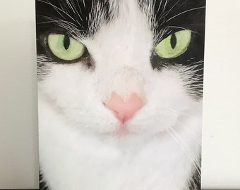Cat greeting card without text with envelope, party, wishes, birthday, blank