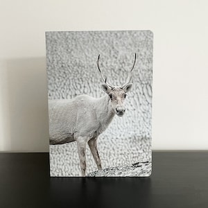 Carte de souhaits caribou sans texte avec enveloppe, fête, voeux, anniversaire, vierge
