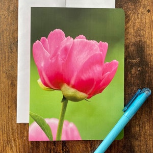 Carte de souhaits fleur tulipe sans texte avec enveloppe, carte de fête, carte de voeux, carte d'anniversaire