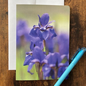 Carte de souhaits fleur iris versicolore sans texte avec enveloppe, carte de fête, carte de voeux, carte d'anniversaire