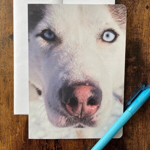 Carte de souhaits chien Husky sans texte avec enveloppe, carte de fête, carte de voeux, carte d'anniversaire