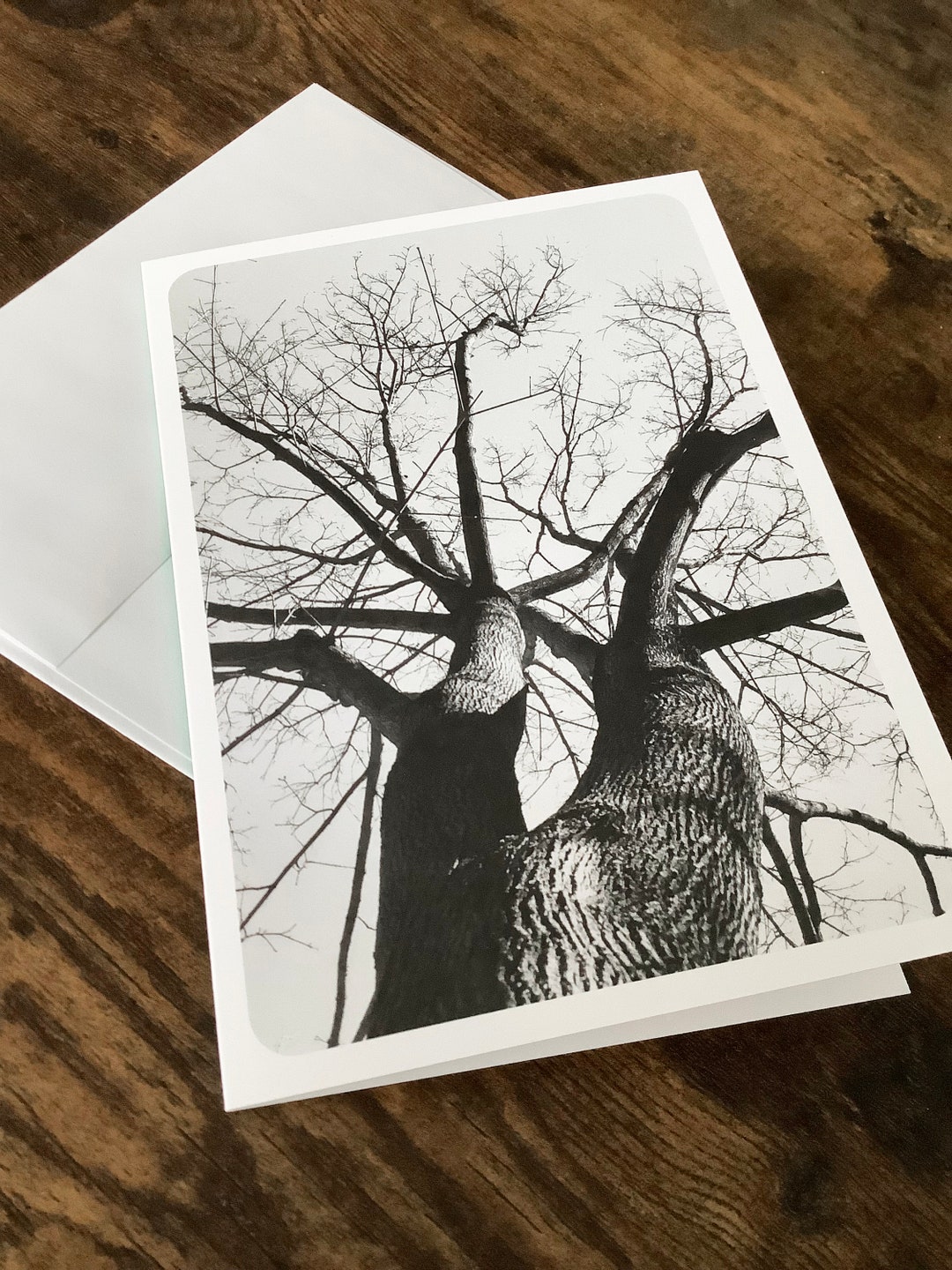 Greetings Card Tree Blank Inside With Envelope - Etsy