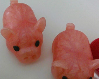 A Pair of Cute Pigs