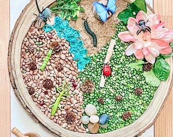 Bug Lover Sensory Kit