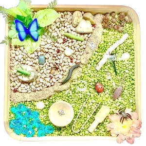 Bug Lover Sensory Kit