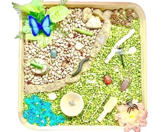 Bug Lover Sensory Kit