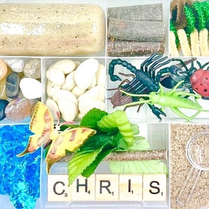 Bug Lover Play Dough And Magic Sand Kit