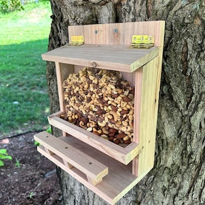 Squirrel Bar, Squirrel Feeder, Pet Feeder, Bird Feeder,