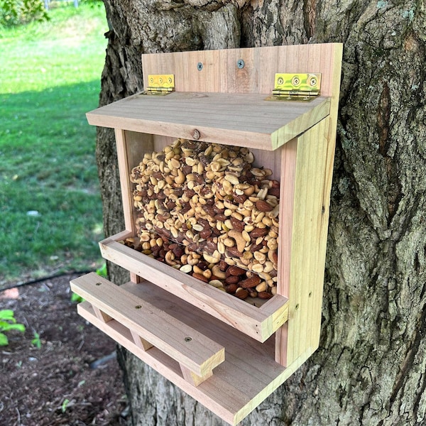 Squirrel Bar, Squirrel Feeder, Pet Feeder, Bird Feeder,
