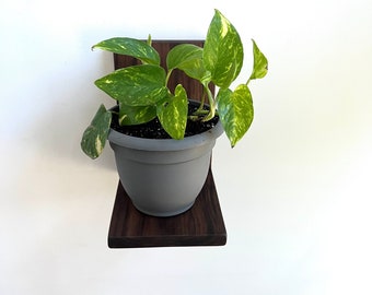 Wooden plant shelf/ modern shelf/ plant hanger/plant gift