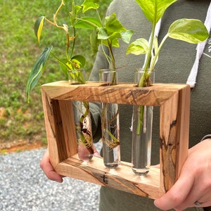 Propagation station Wood propagation station Boho plant stand plant propagation Test tubes Glass planter image 9