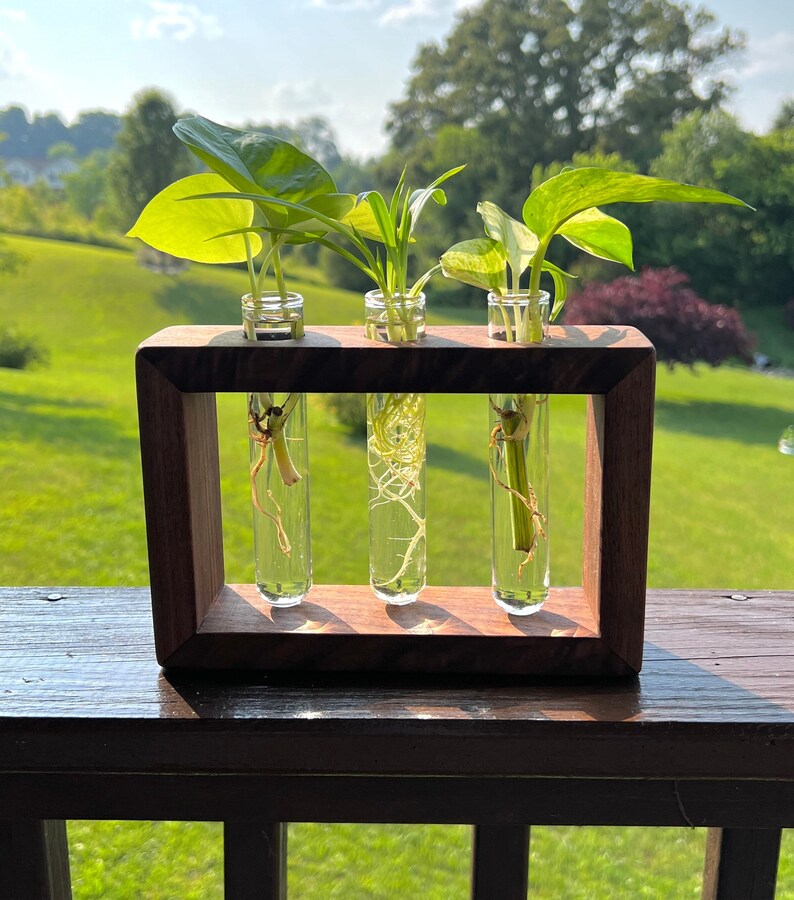 Propagation station Wood propagation station Boho plant stand plant propagation Test tubes Glass planter image 1