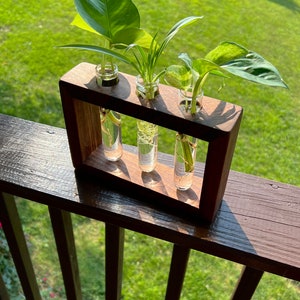 Propagation station Wood propagation station Boho plant stand plant propagation Test tubes Glass planter image 7