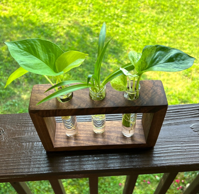 Propagation station Wood propagation station Boho plant stand plant propagation Test tubes Glass planter image 5