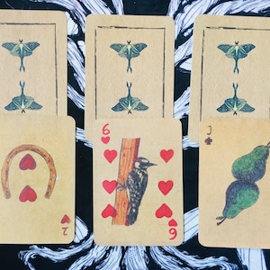 Lettura di Appalachian Conjure