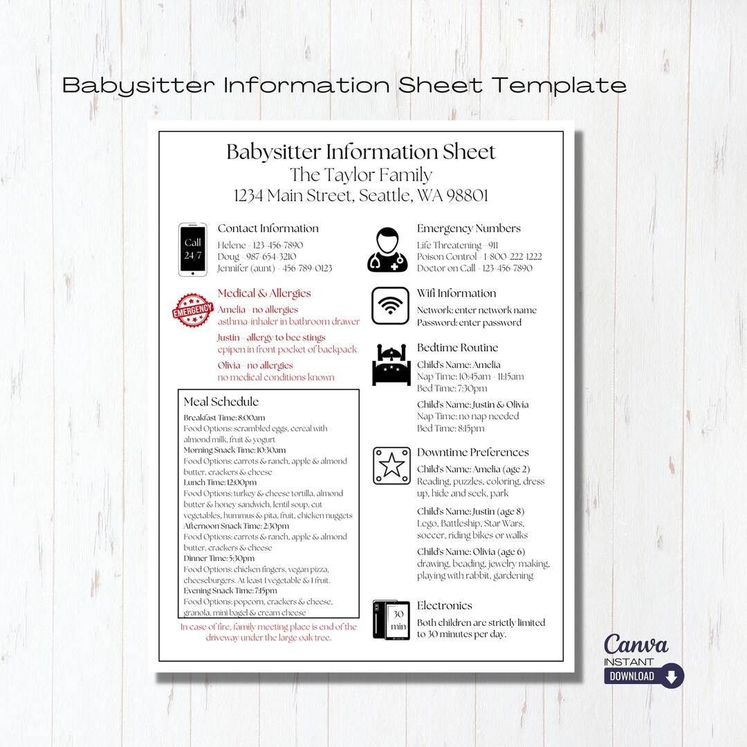 Editable Childcare Notes, Printable Important Info Babysitter Planner ...