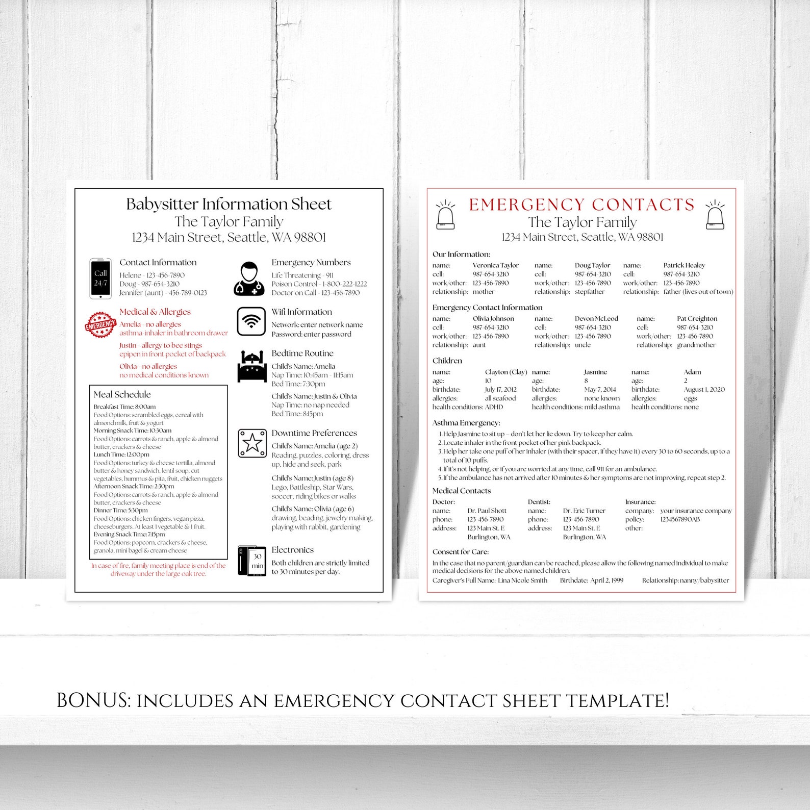 Editable Childcare Notes, Printable Important Info Babysitter Planner ...