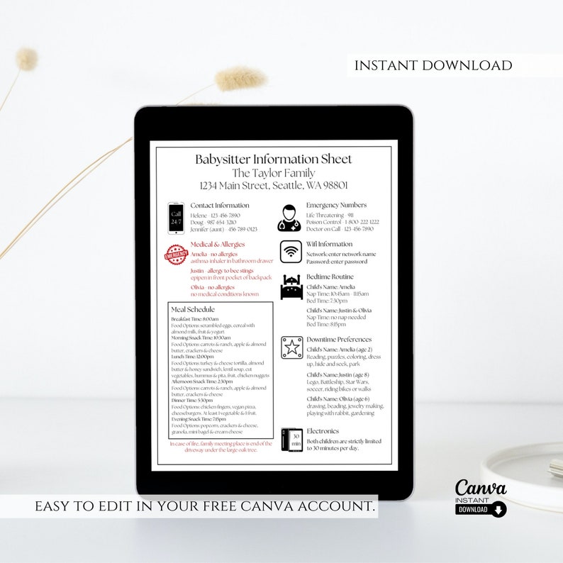 Editable Childcare Notes, Printable Important Info Babysitter Planner ...