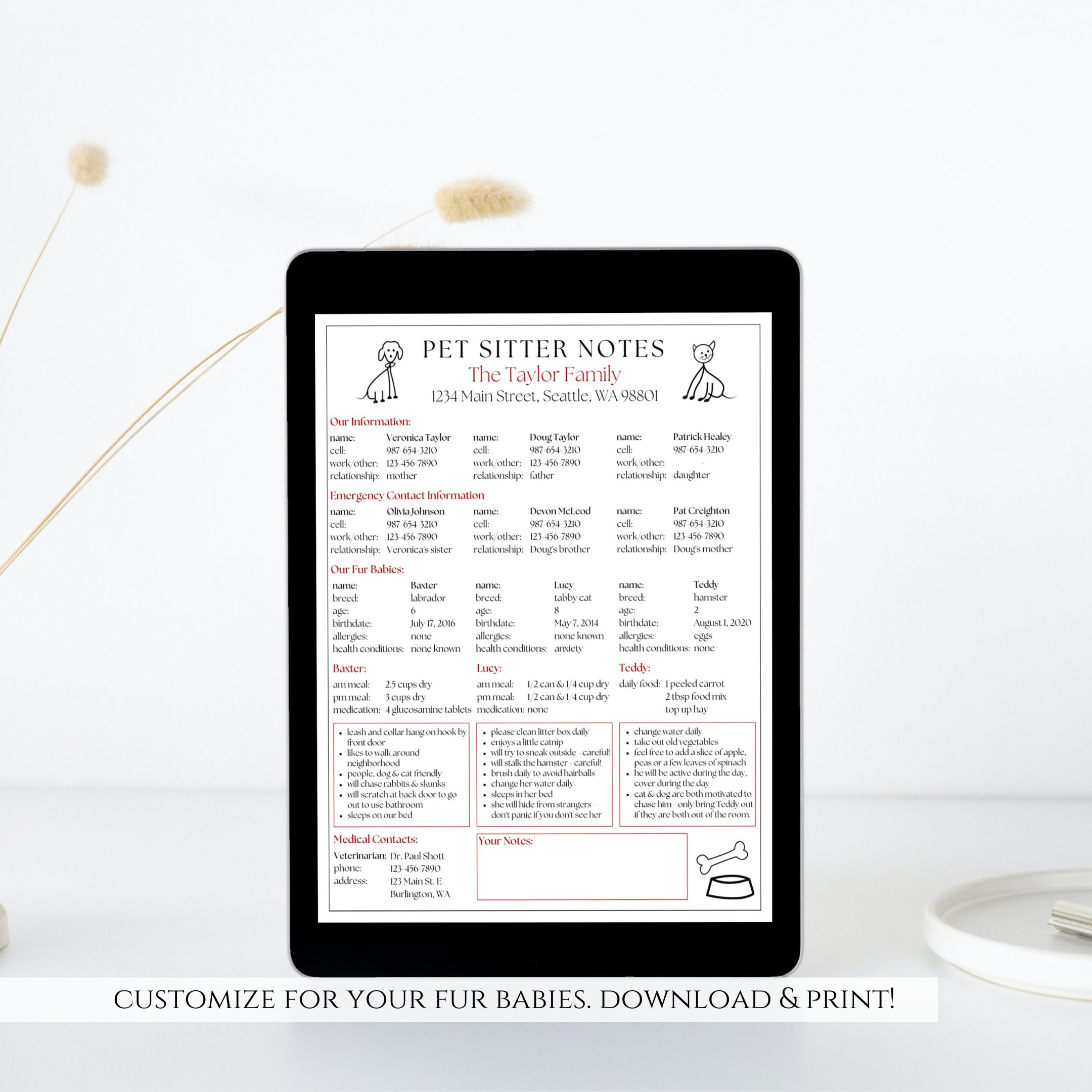 Editable Pet Sitter Notes Sheet, Printable Pet Sitter Plan, Pet