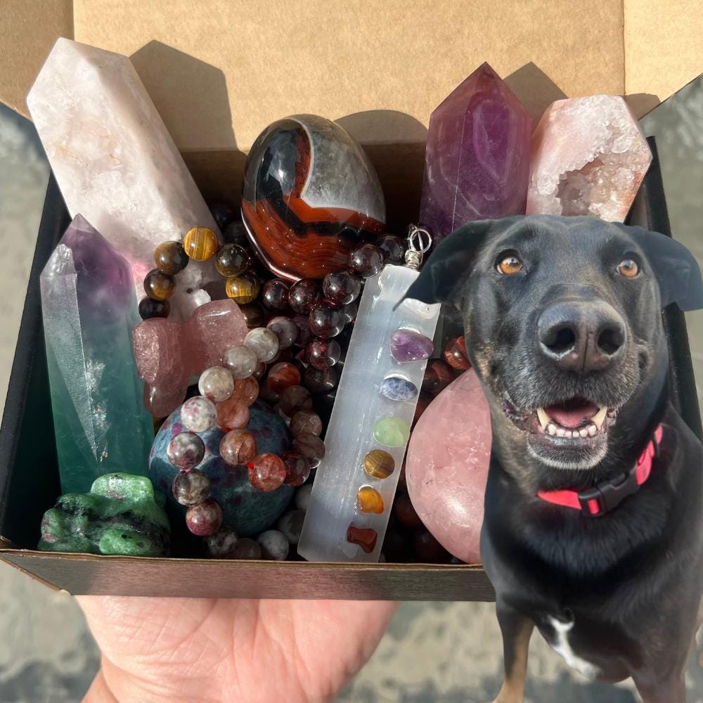 My Dog Luna Chooses Your Crystal Mystery Box Help a Shelter Pet Best Mystery Box Mystery Crystal Tower Crystal Sphere Dog Picks Mystery Box